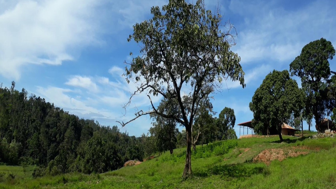 Photo of Outdoor in Sakleshpur