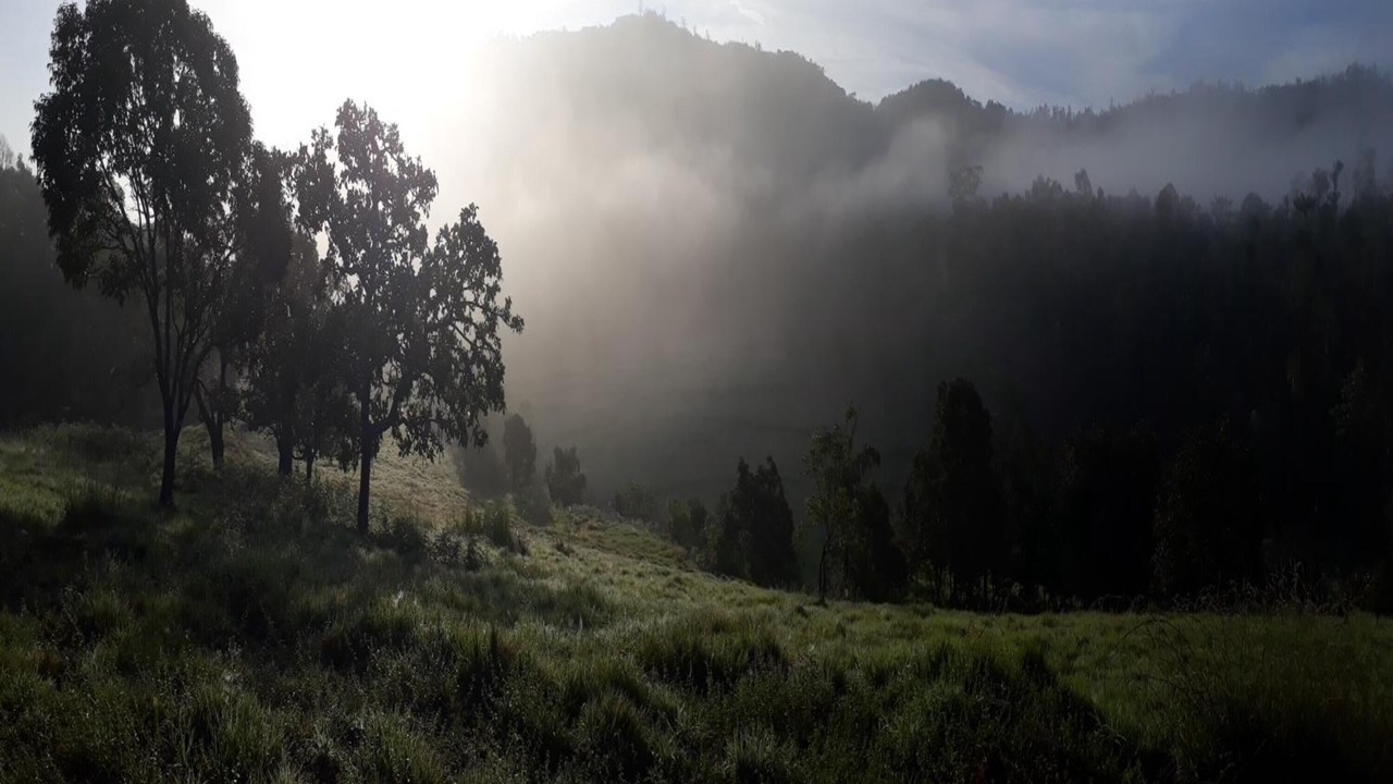 Photo of Outdoor in Sakleshpur