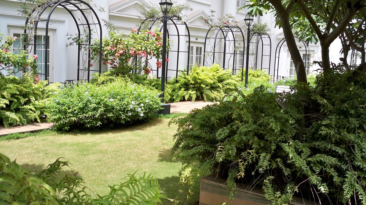 Photo of Outdoor in Malleshwaram