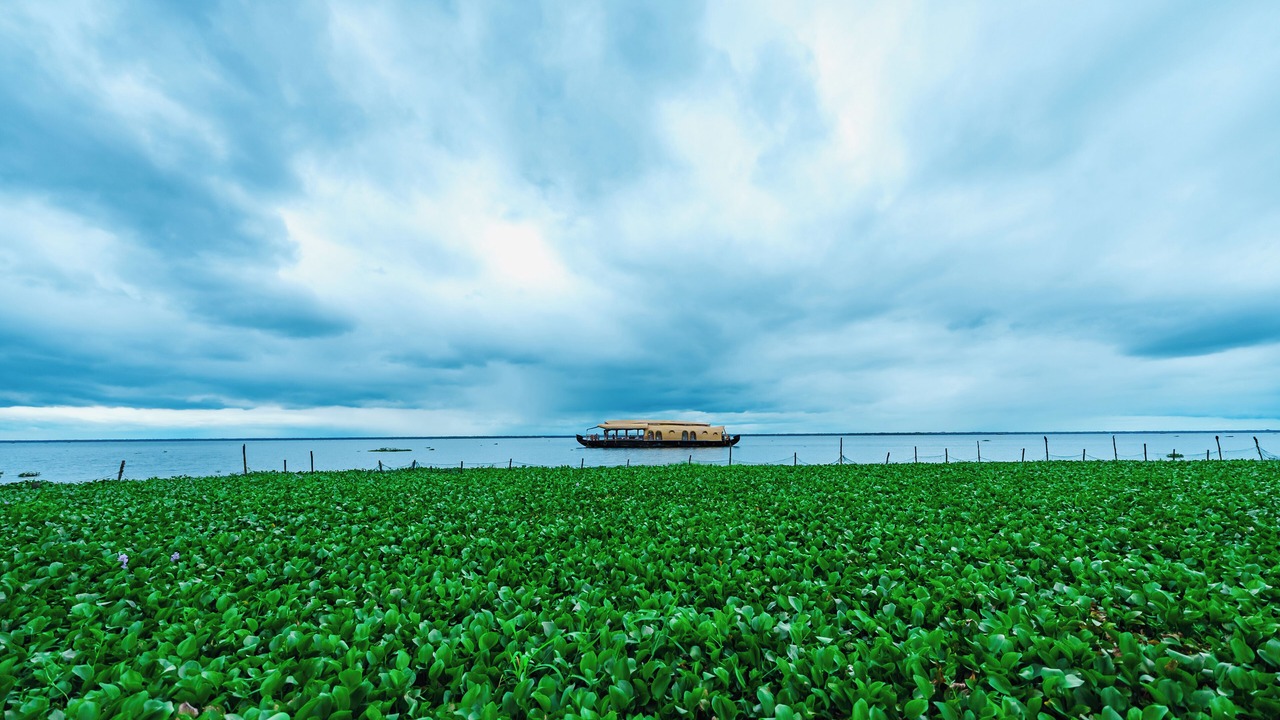Photo of Others in Kumarakom