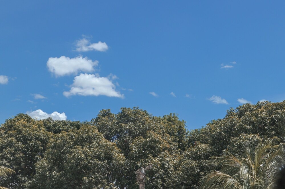 Photo of Outdoor in Winston Hills