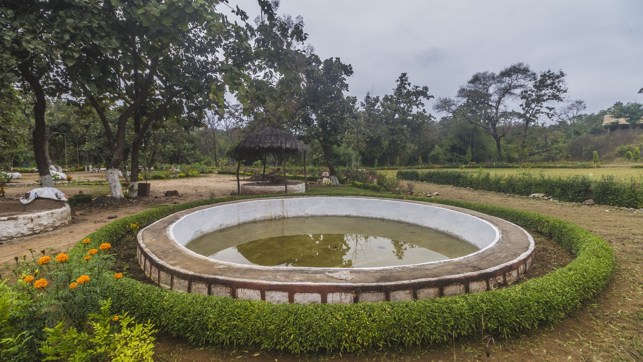 Photo of Outdoor in Piparia