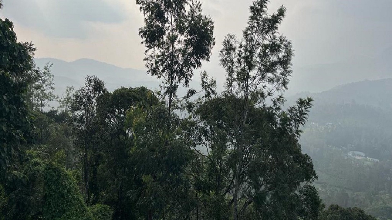 Photo of Outdoor in Nullatanni