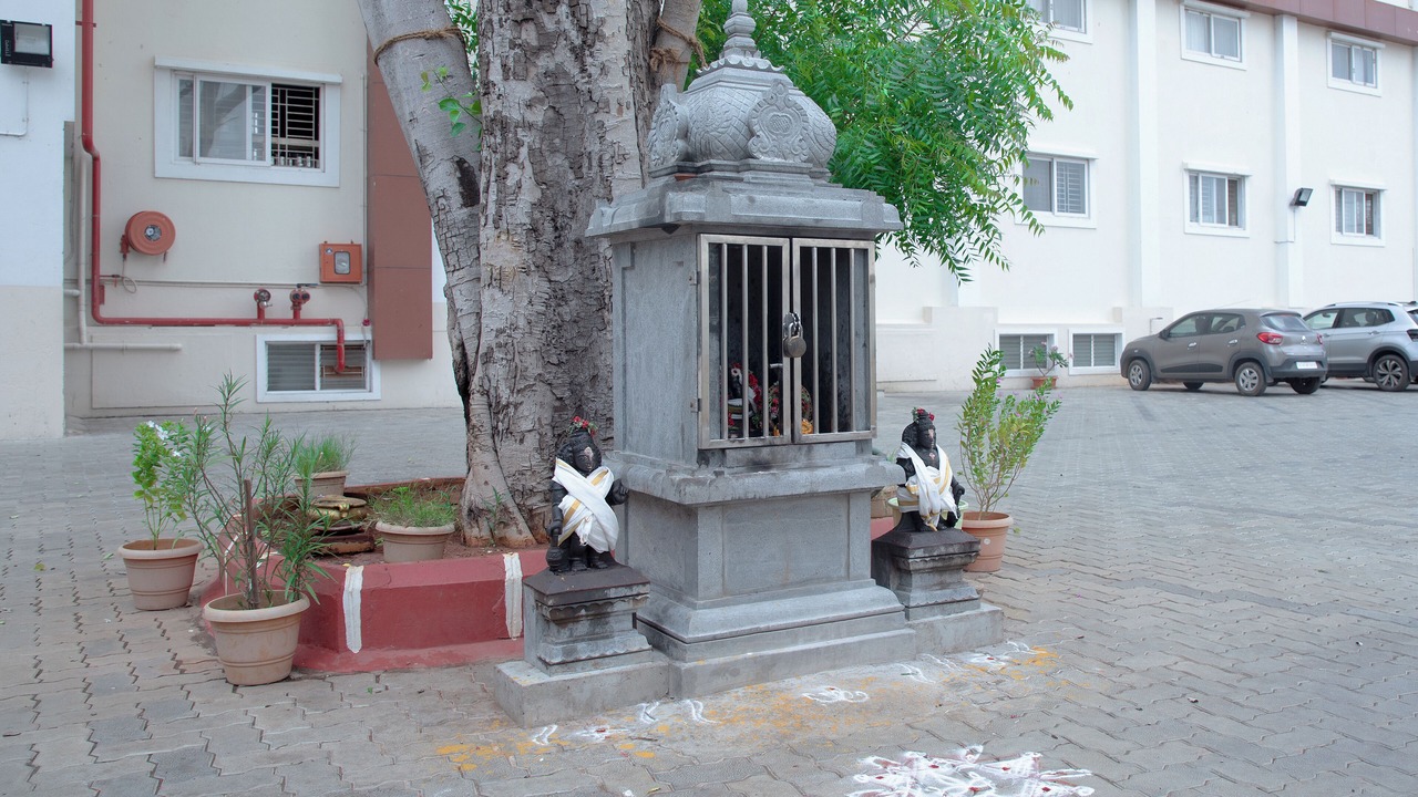 Photo of Others in Tiruchirappalli