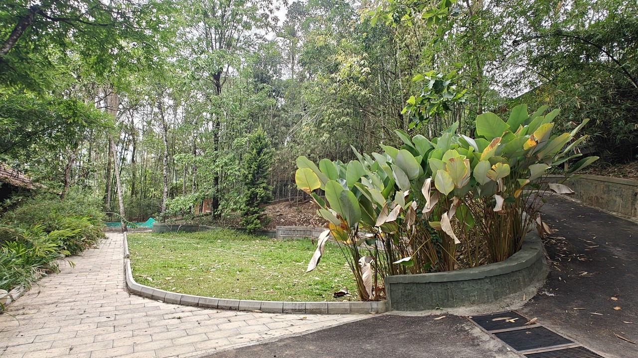 Photo of Outdoor in Sulthan Bathery