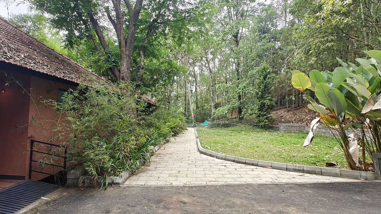 Photo of Outdoor in Sulthan Bathery