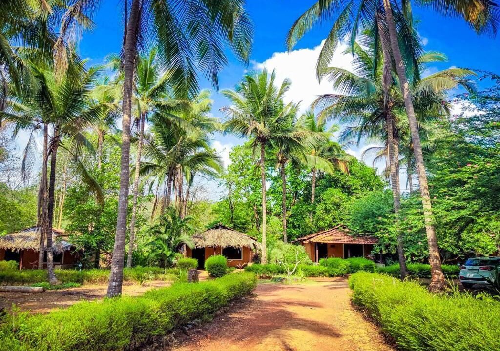 Photo of Outdoor in Sancordem