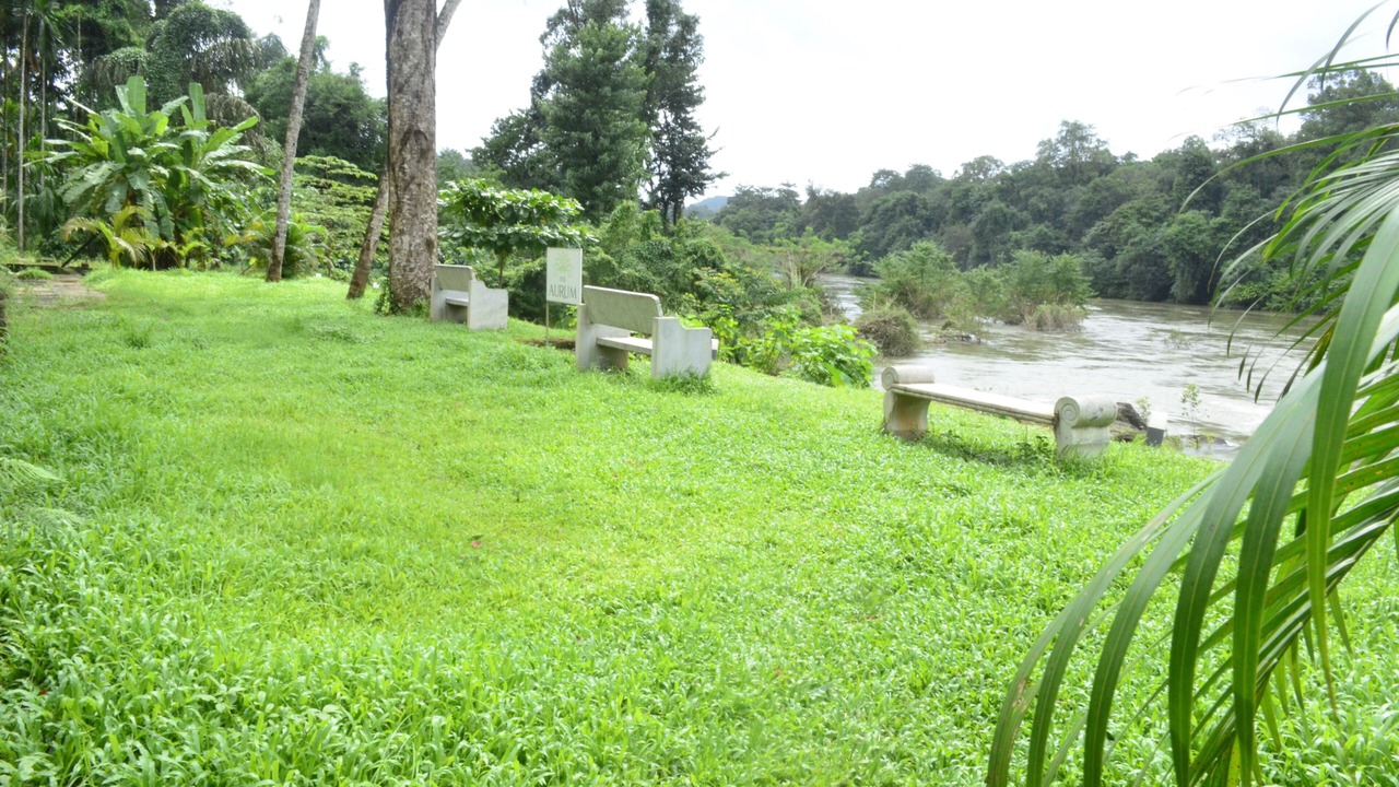 Photo of Outdoor in Subrahmanya