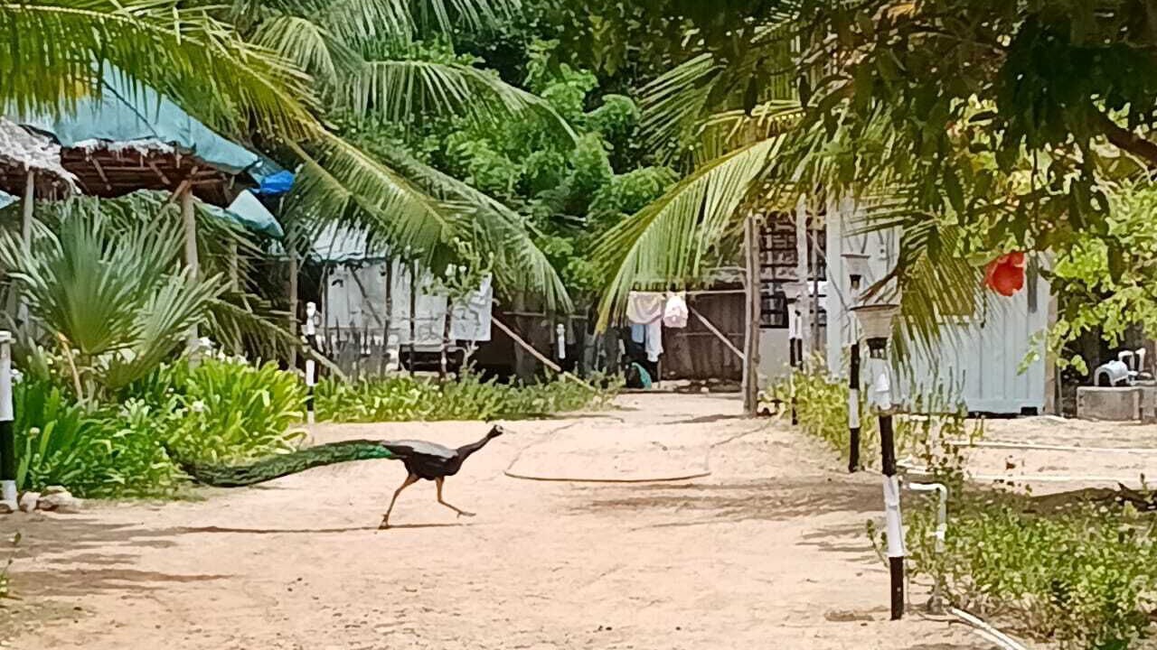 Photo of Others in Ramanathapuram