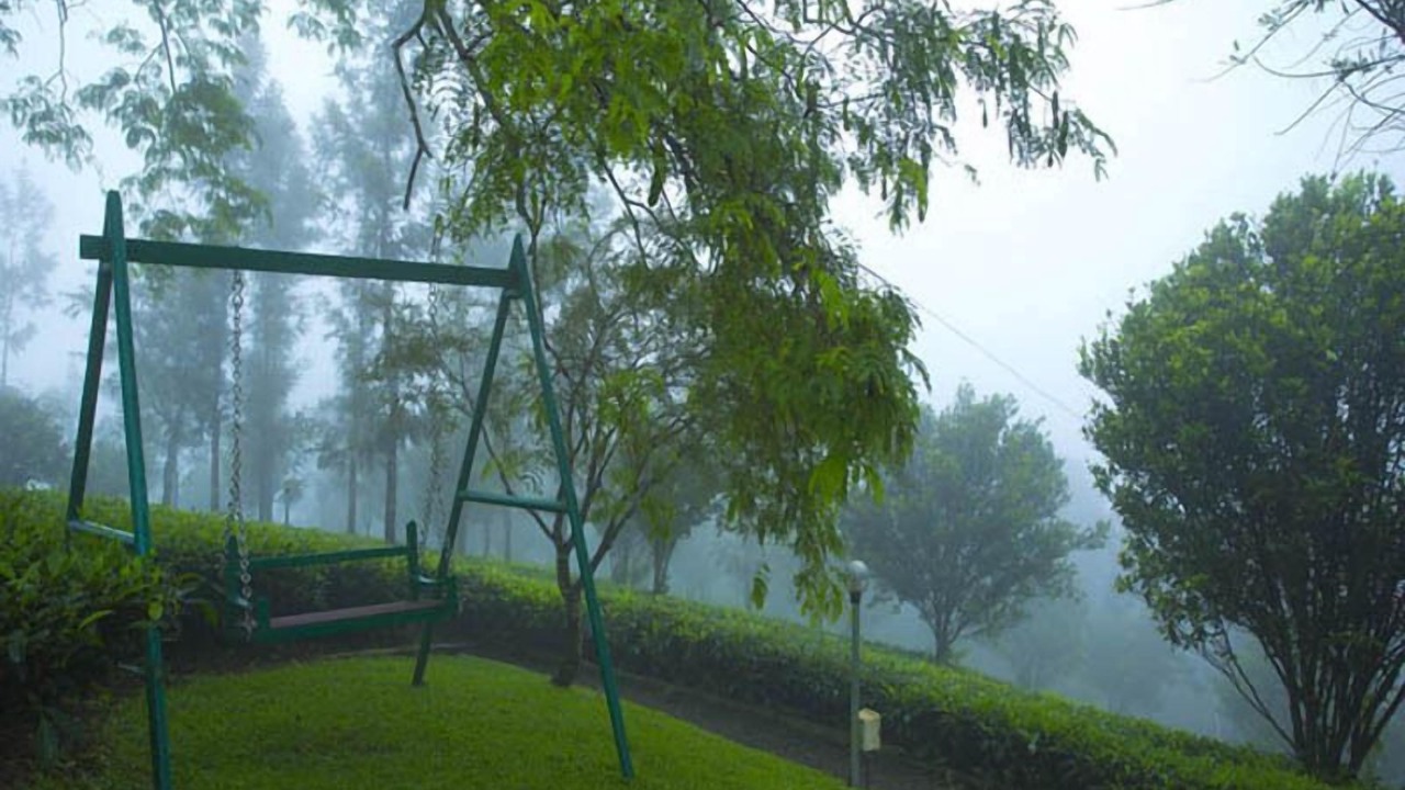 Photo of Outdoor in Udumbanchola