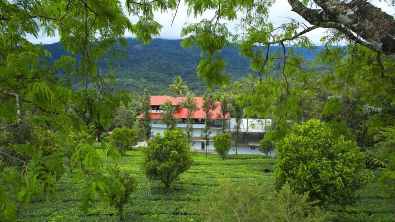 Photo of Outdoor in Udumbanchola
