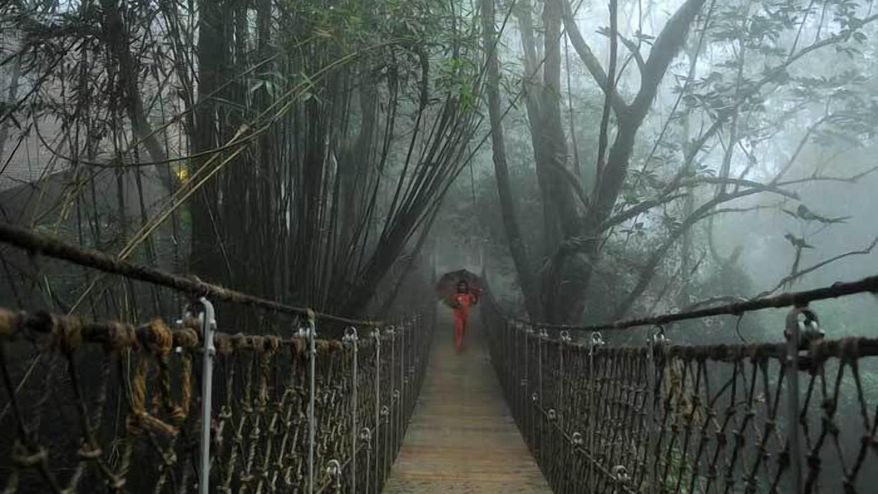 Photo of Outdoor in Kunnathidavaka