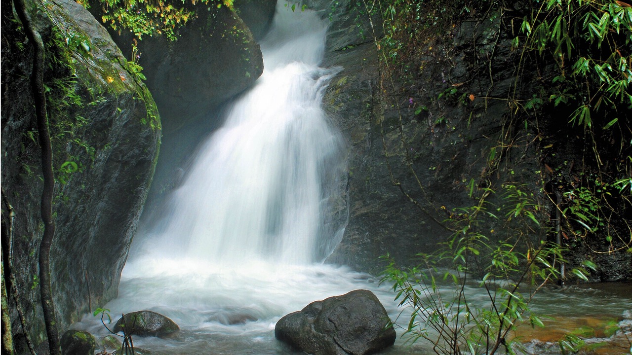Photo of Outdoor in Kunnathidavaka