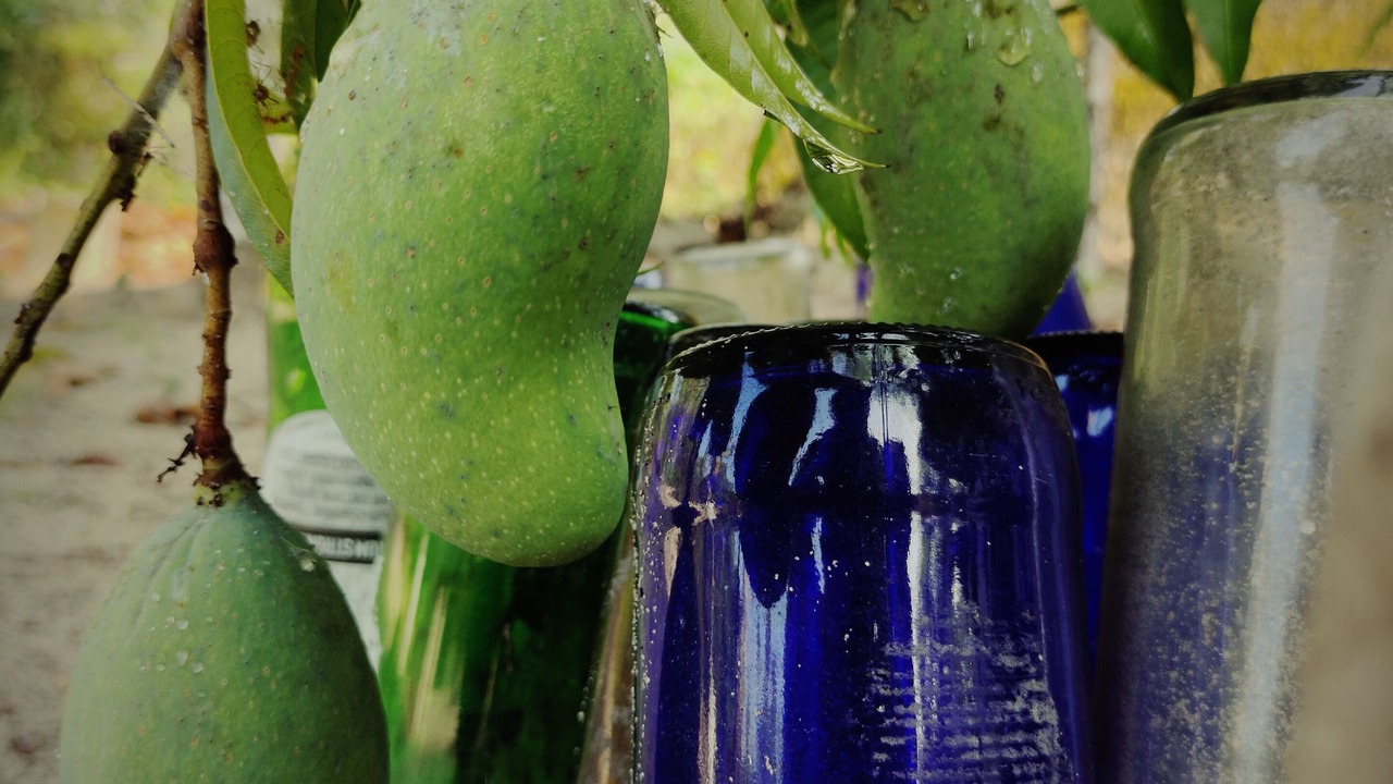 Photo of Outdoor in Mararikulam