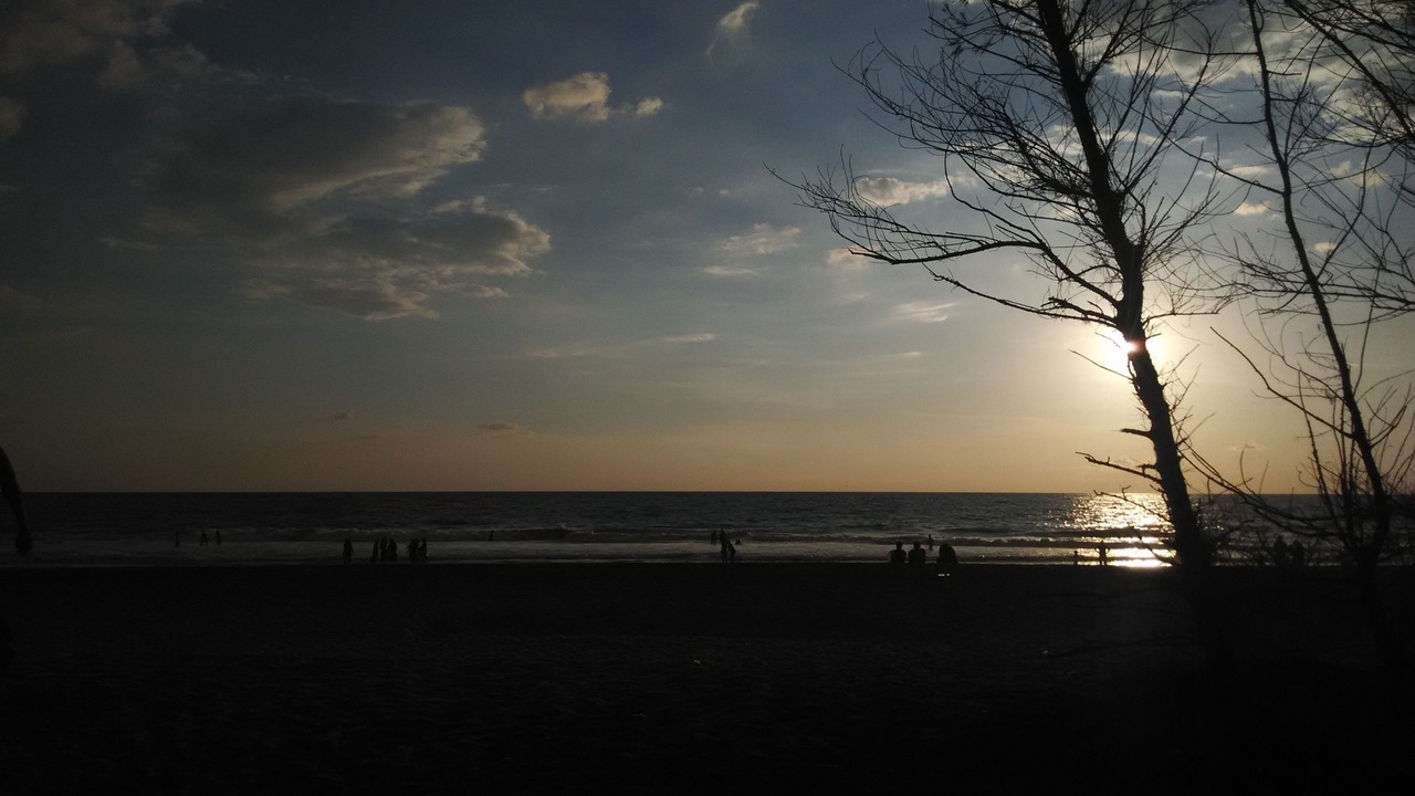 Photo of Others in Varkala