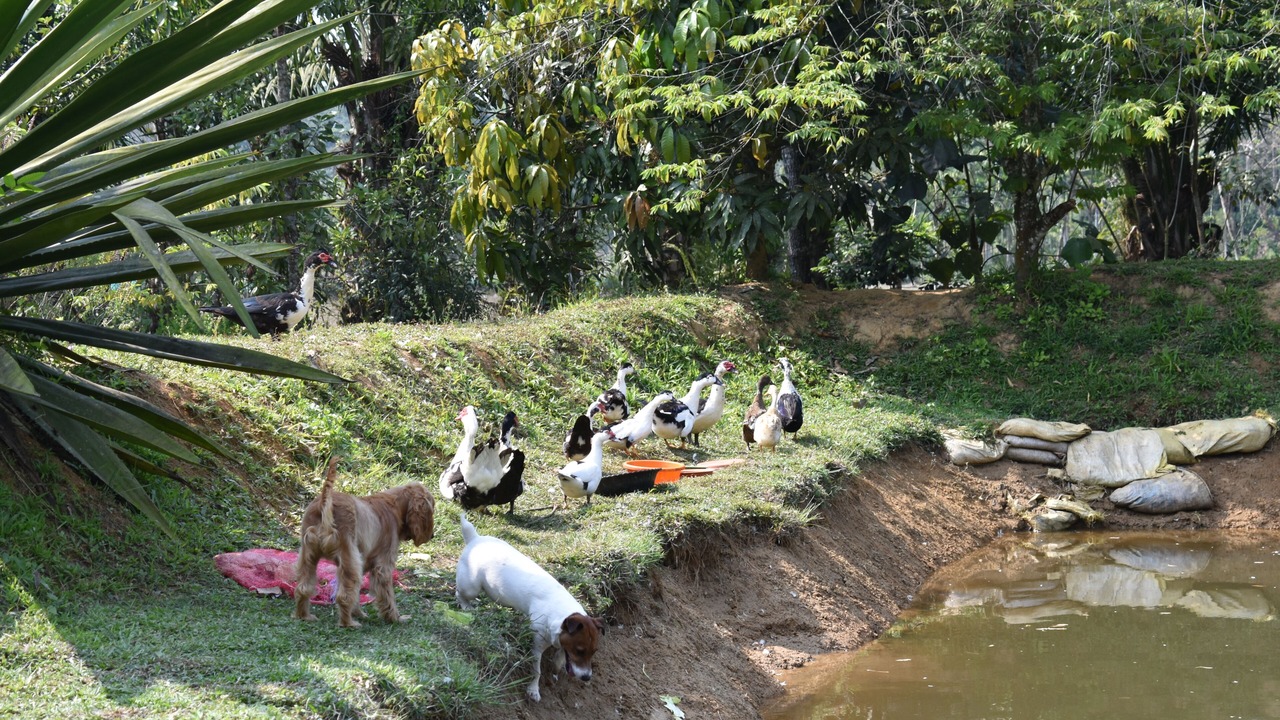 Photo of Others in Virarajendrapet