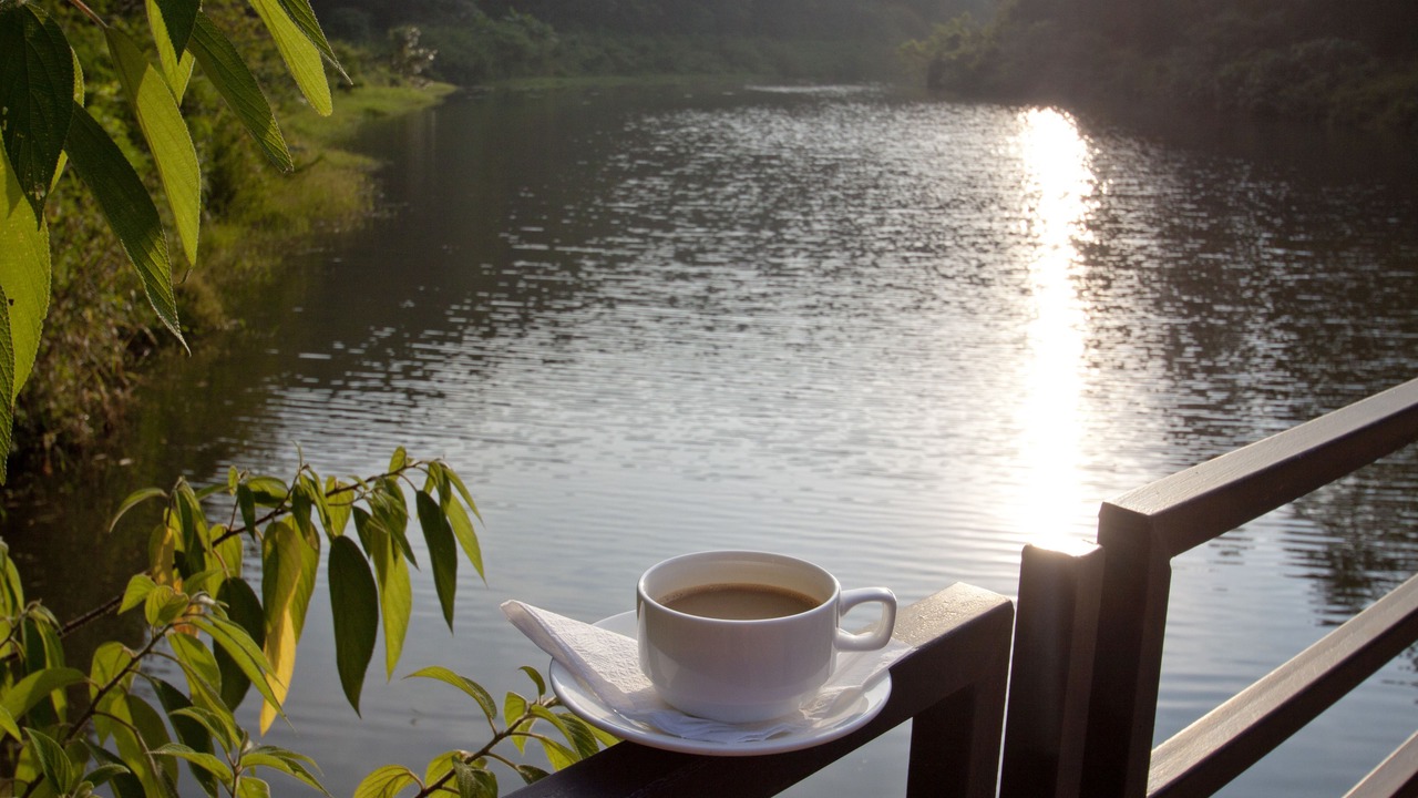 Photo of Outdoor in Madikeri