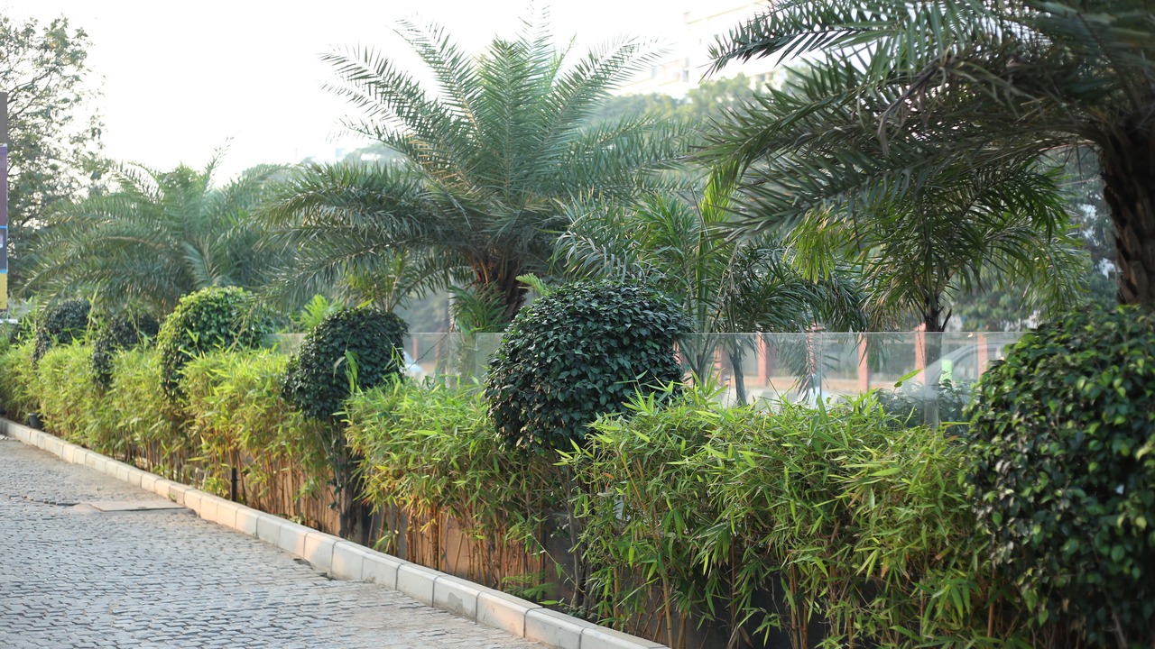 Photo of Outdoor in Iyyappanthangal
