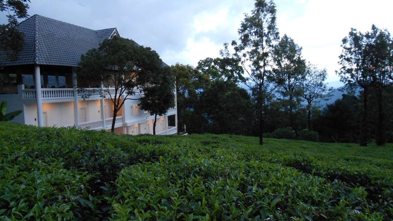 Photo of Outdoor in Chithirapuram
