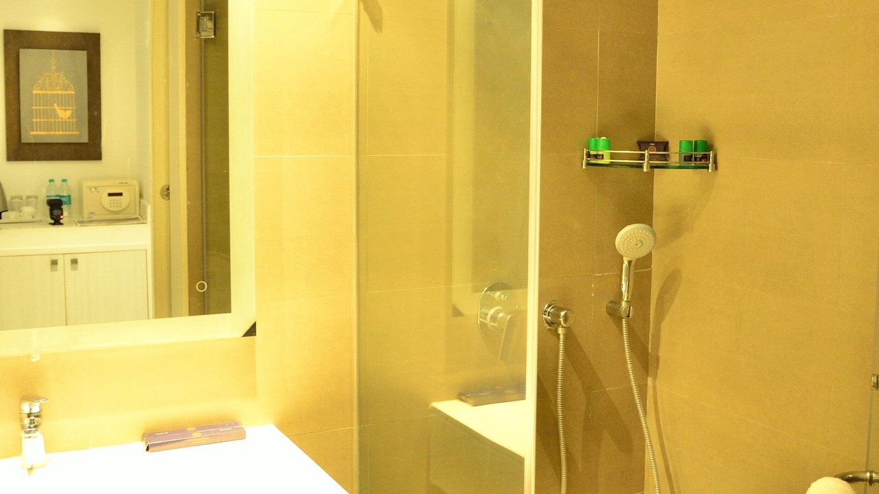 Photo of Bathroom in HITEC City
