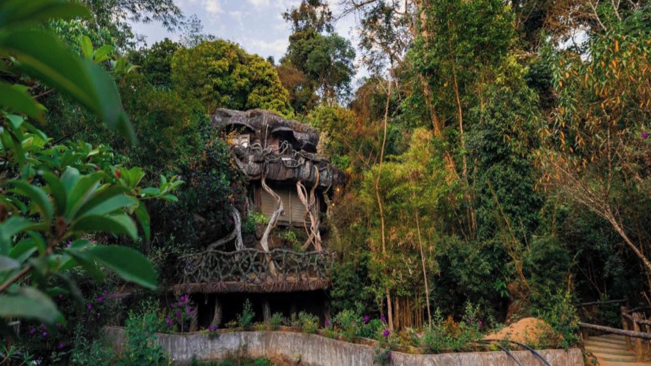 Photo of Outdoor in Munnar