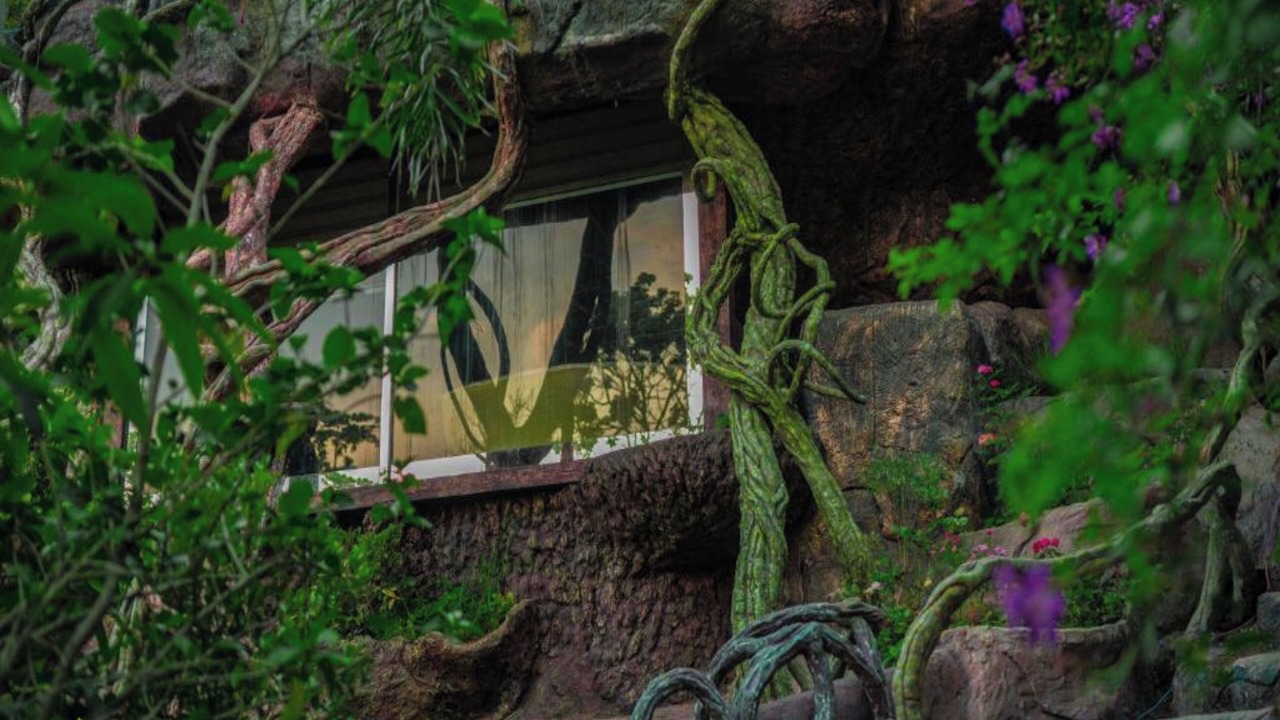Photo of Outdoor in Munnar