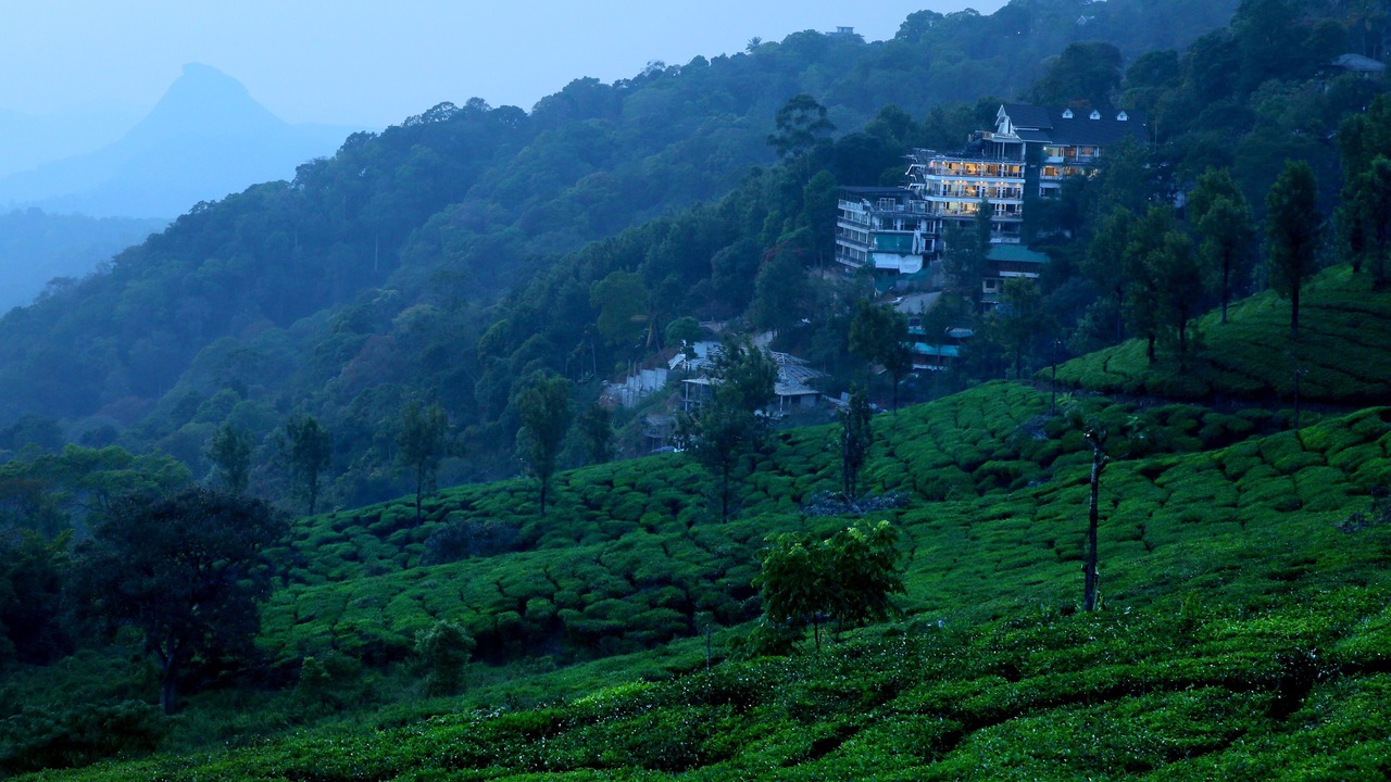Photo of Outdoor in Munnar