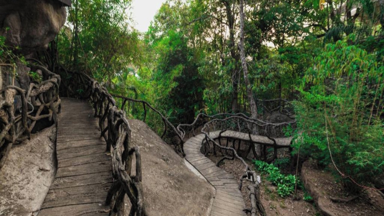 Photo of Outdoor in Munnar