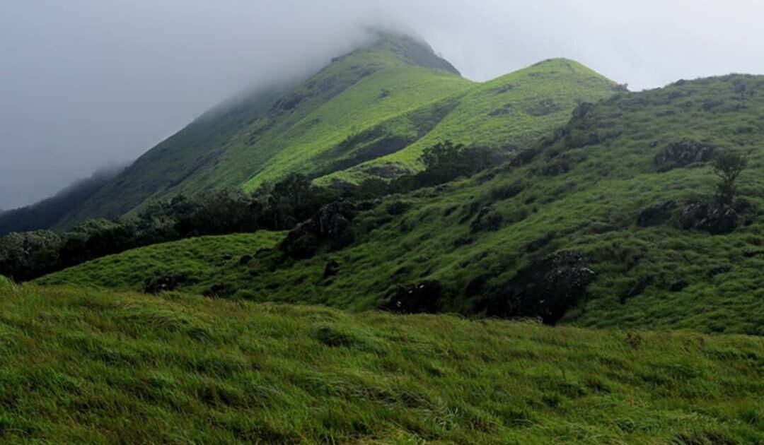 Photo of Outdoor in Mananthavady