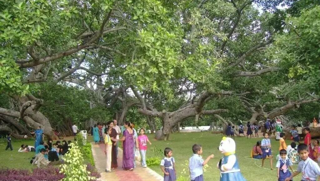 Photo of Others in Miyapur