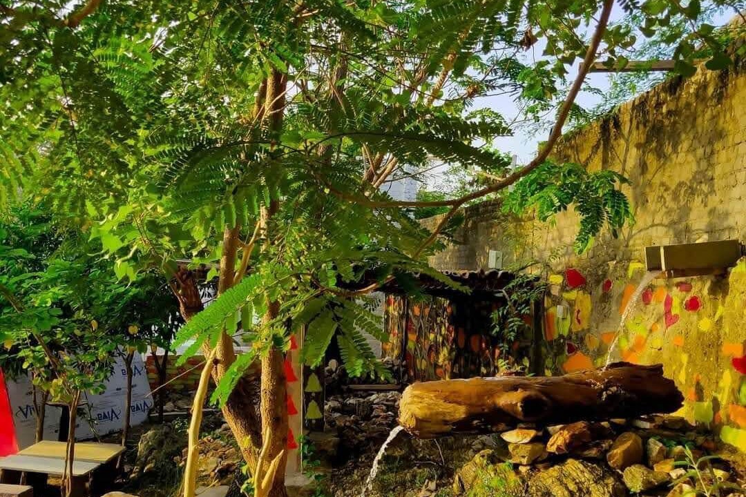 Photo of Outdoor in Sarada
