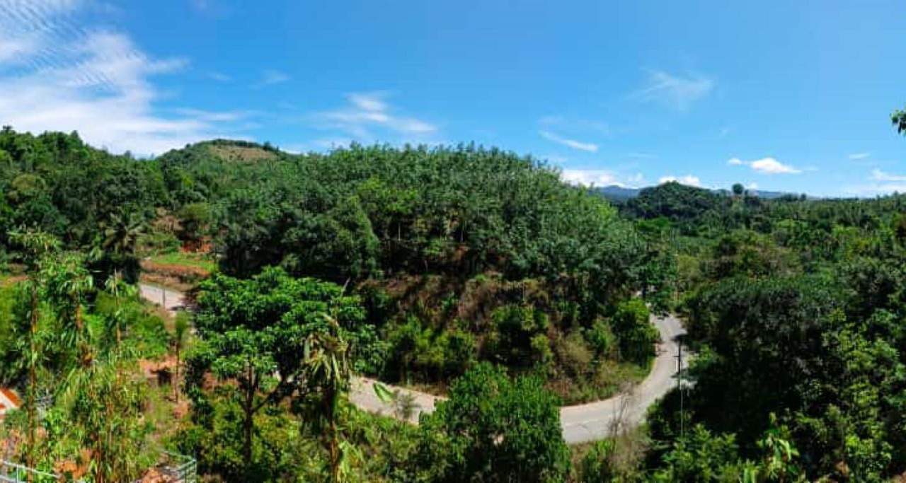 Photo of Others in Kaimane