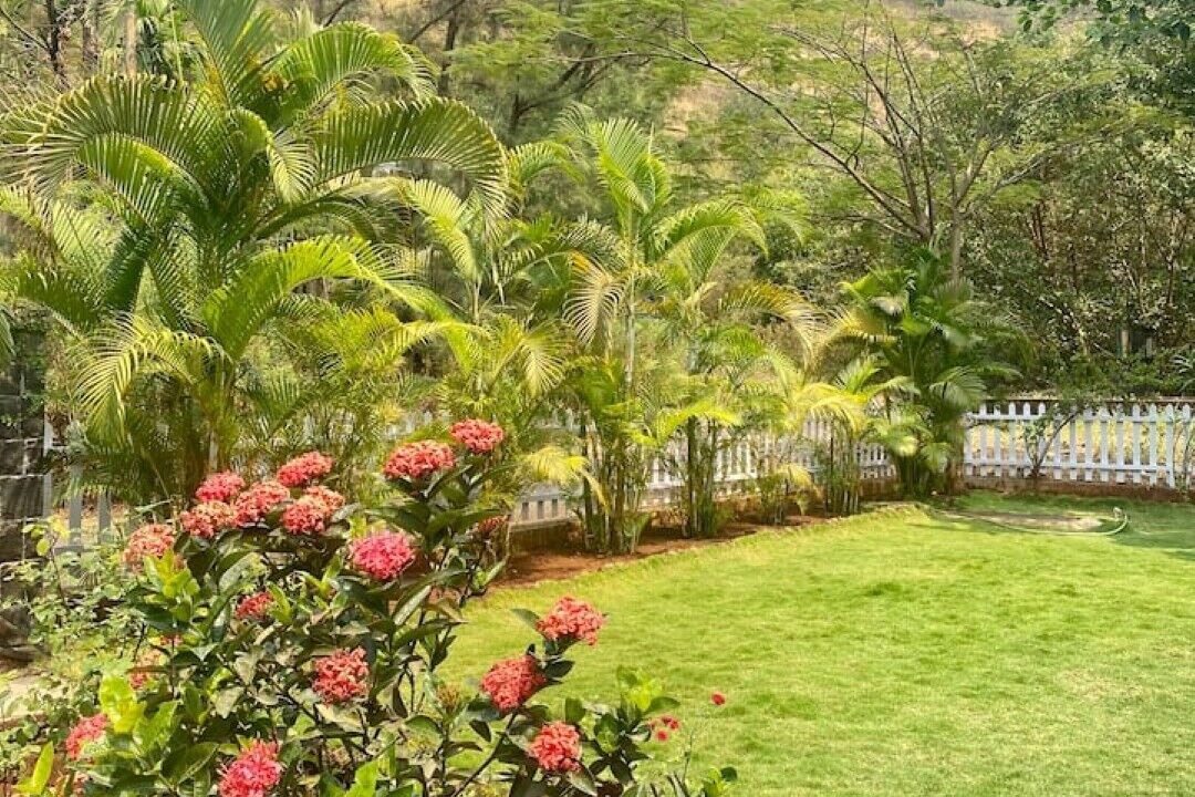 Photo of Outdoor in Paud