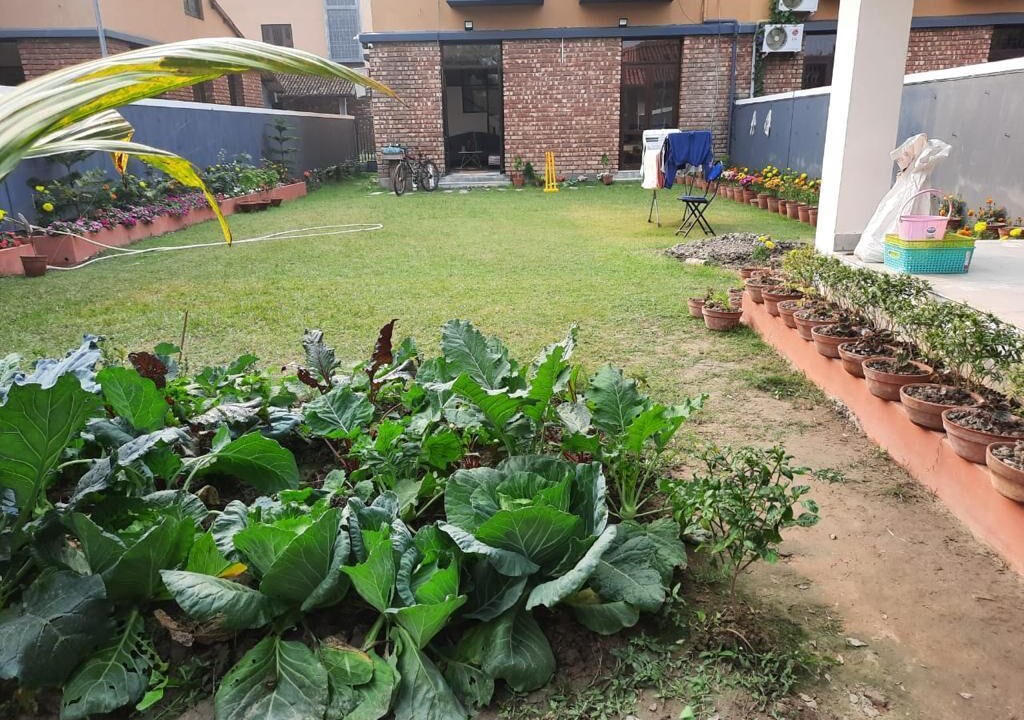 Photo of Outdoor in Raichak