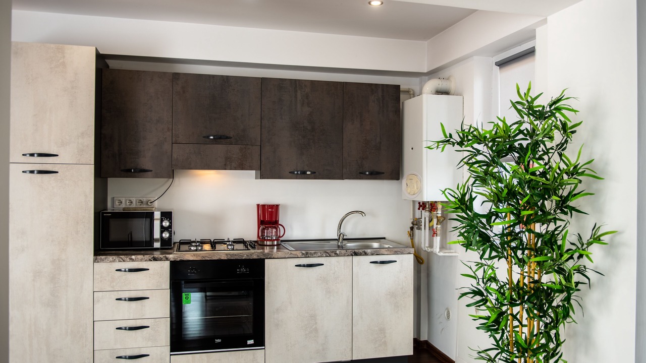 Photo of Kitchen in Baia Mare