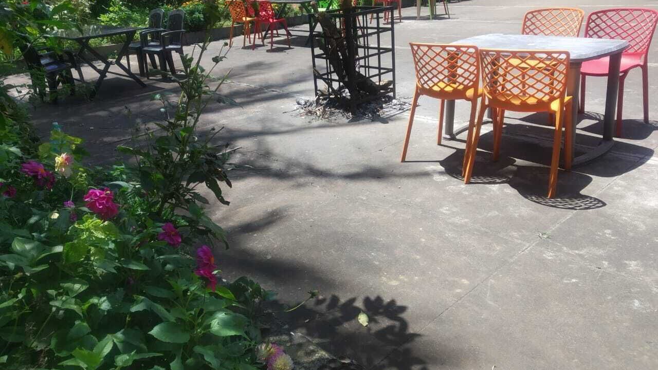 Photo of Outdoor in Chikkamagaluru