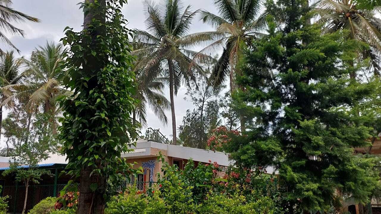 Photo of Outdoor in Mysore