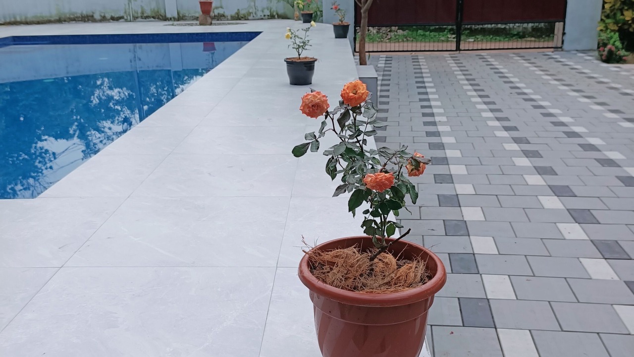 Photo of Outdoor in Varkala