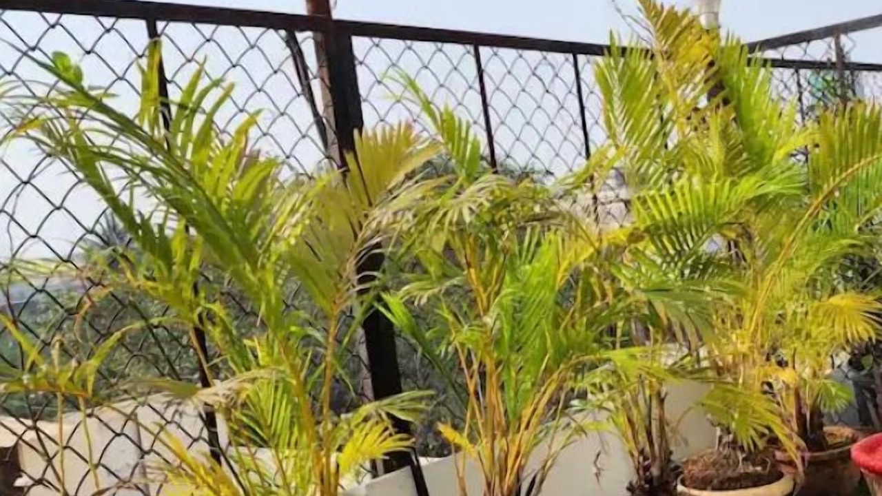 Photo of Outdoor in Marine Lines