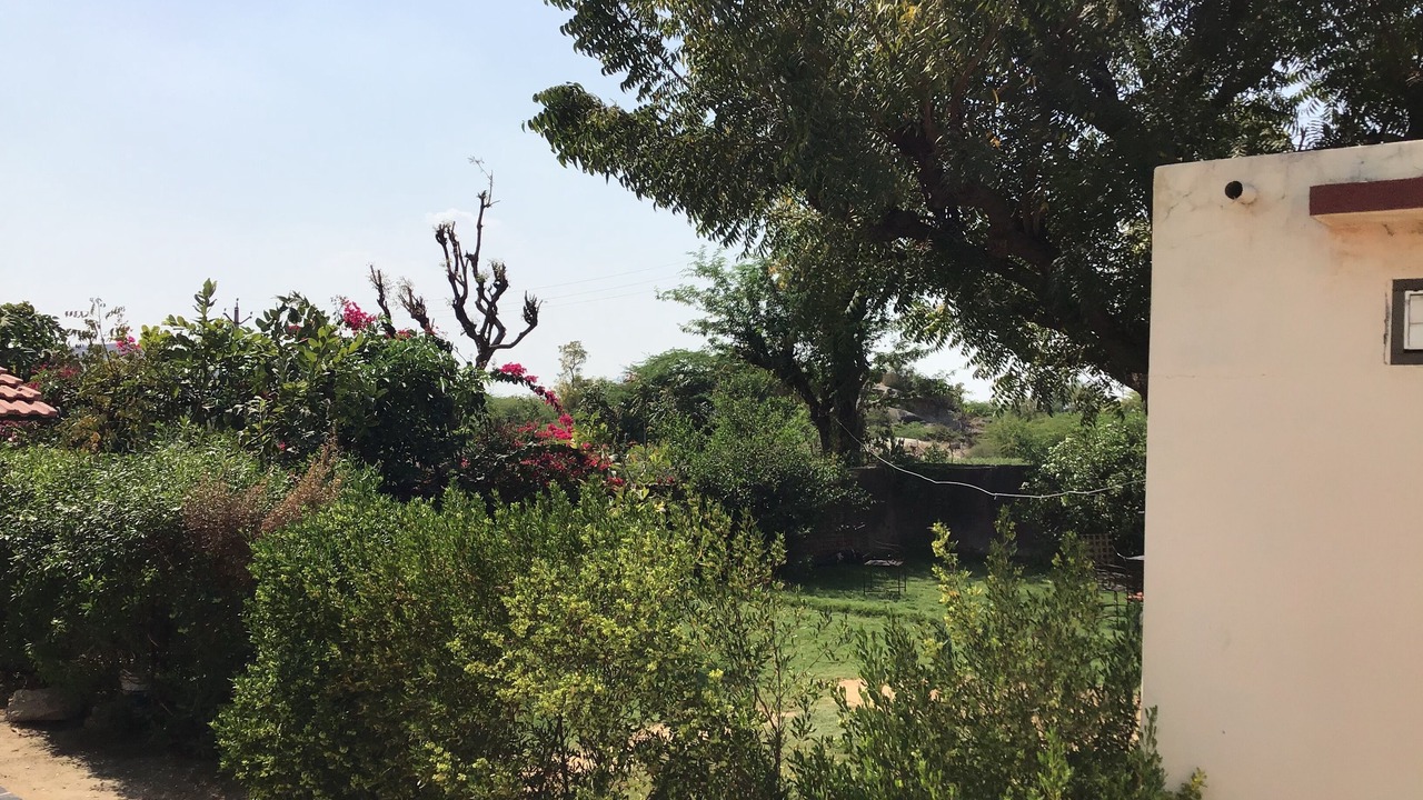 Photo of Outdoor in Bali