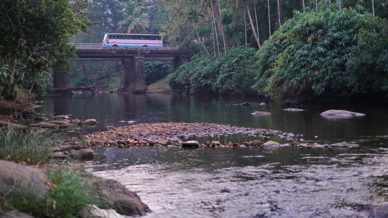 Photo of Outdoor in Irinjalakuda