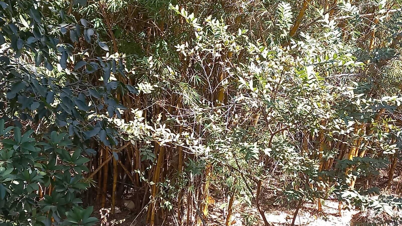 Photo of Others in Central Pune