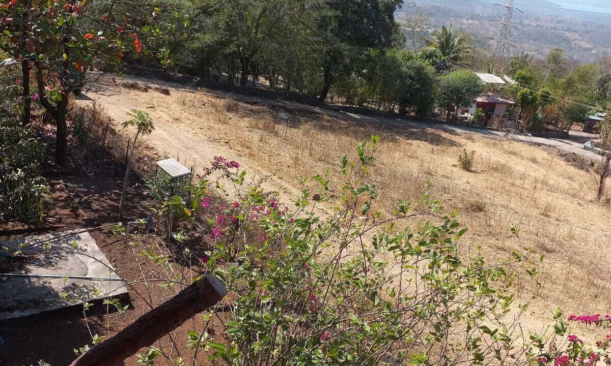 Photo of Outdoor in Central Pune