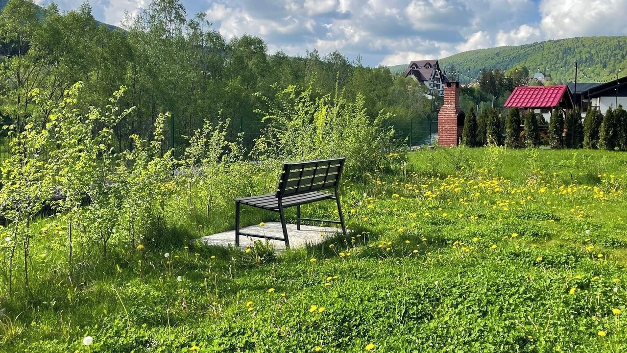 Photo of Outdoor in Busteni