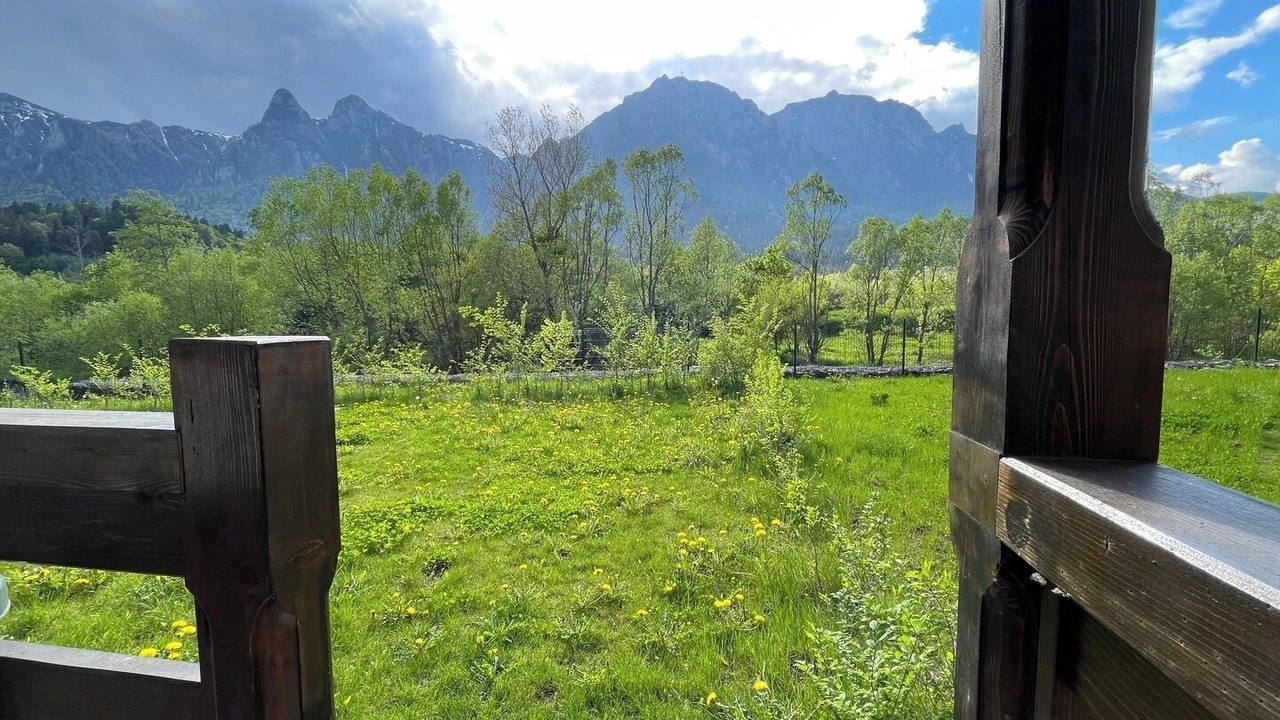 Photo of Outdoor in Busteni