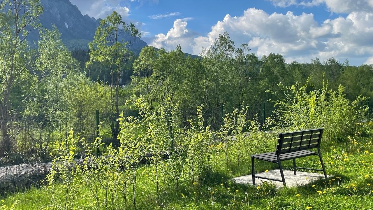 Photo of Outdoor in Busteni
