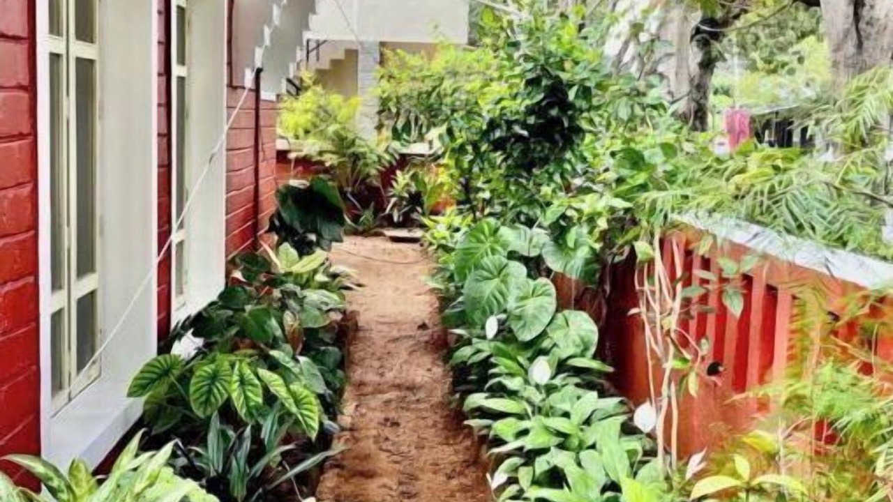 Photo of Outdoor in Mysore