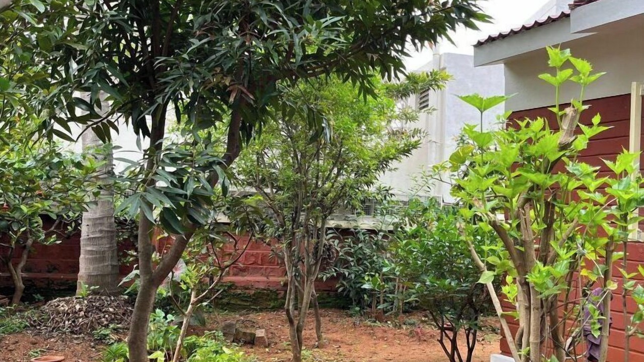 Photo of Outdoor in Mysore