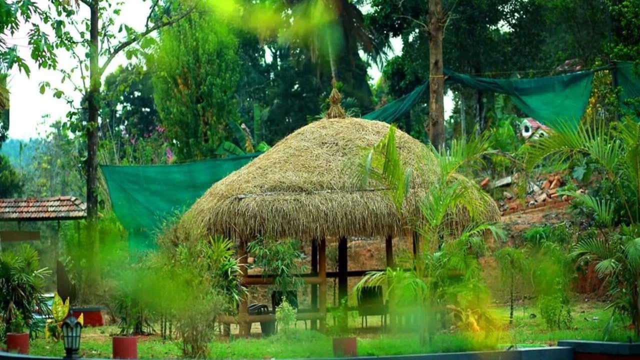 Photo of Outdoor in Mananthavady