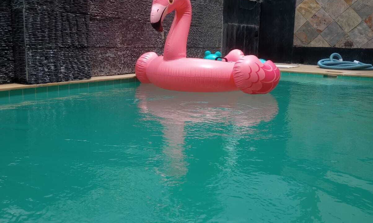 Photo of Outdoor in Udaipur